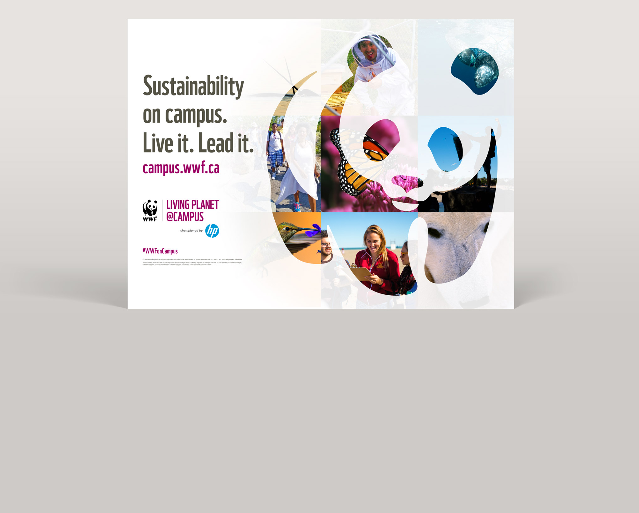 WWF Living Planet on Campus