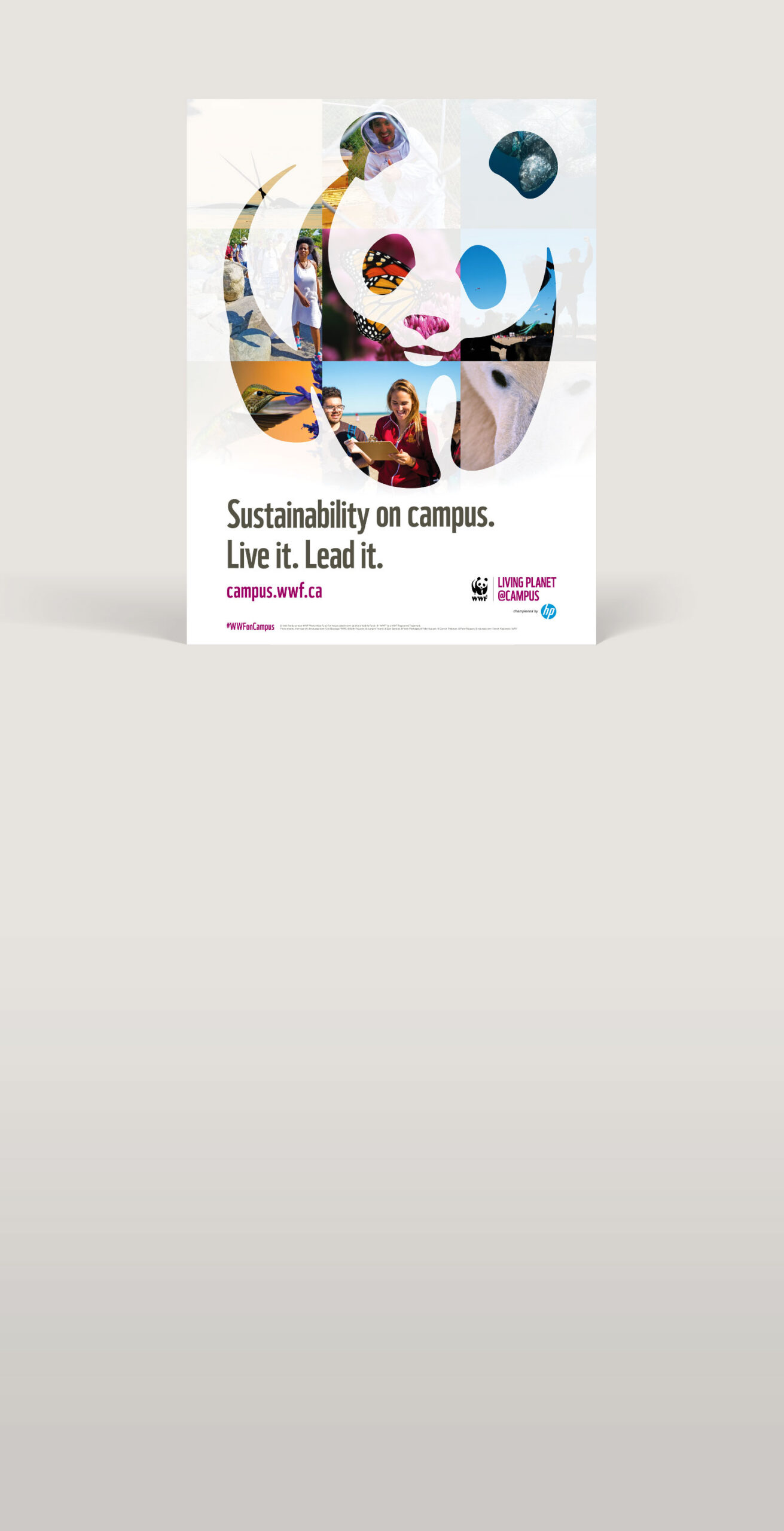 WWF Living Planet on Campus