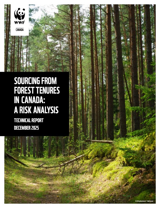 WWF Sourcing from Forest Tenures in Canada: A Rick Analysis